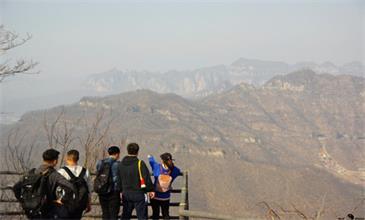 New Cling, New Future!