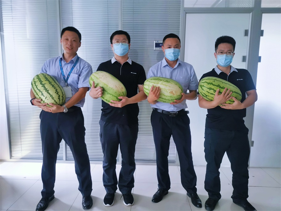 CLINGS summer welfare