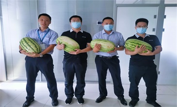 CLING'S summer welfare