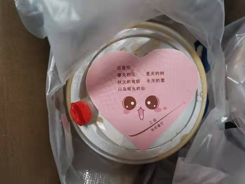 Our first cup of milk tea!