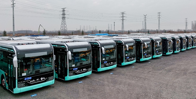 CLING serve for The FIFA World Cup - Qatar 2022