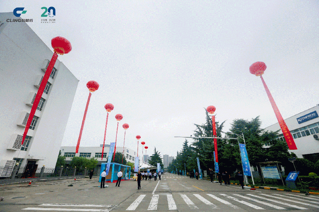 20th Anniversary Celebration of Cling