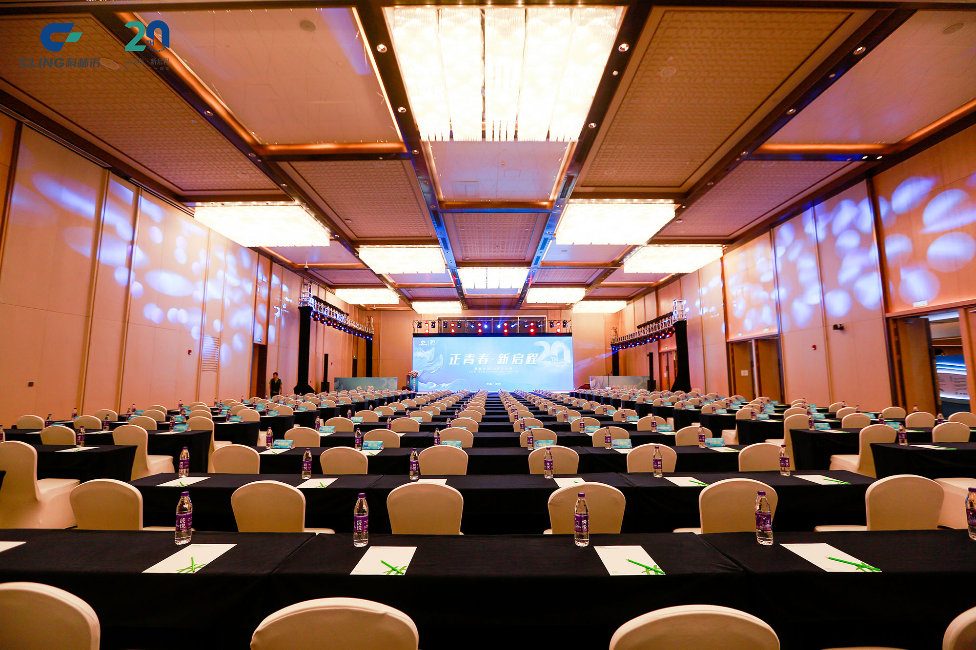 20th Anniversary Celebration of Cling