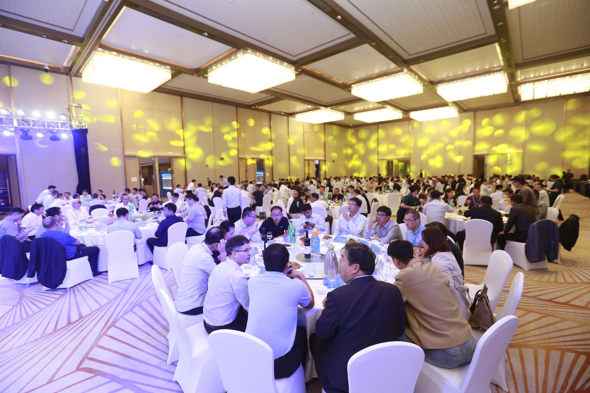 20th Anniversary Celebration of Cling