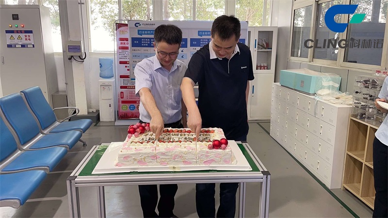 CLINGBRUSHLESSFANSDEBUT5